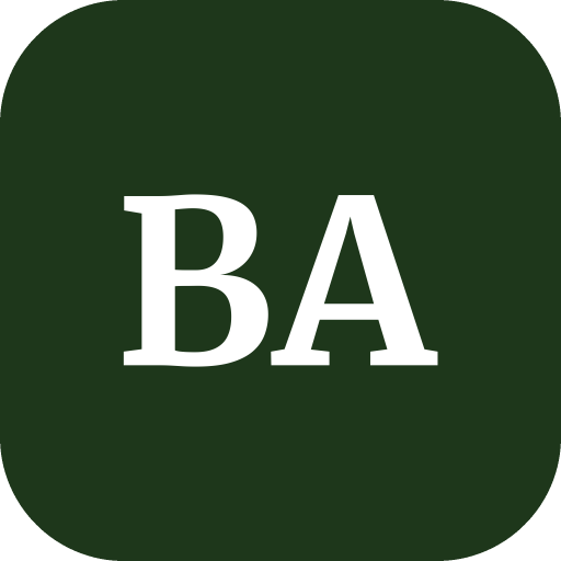Bay Air Systems logo